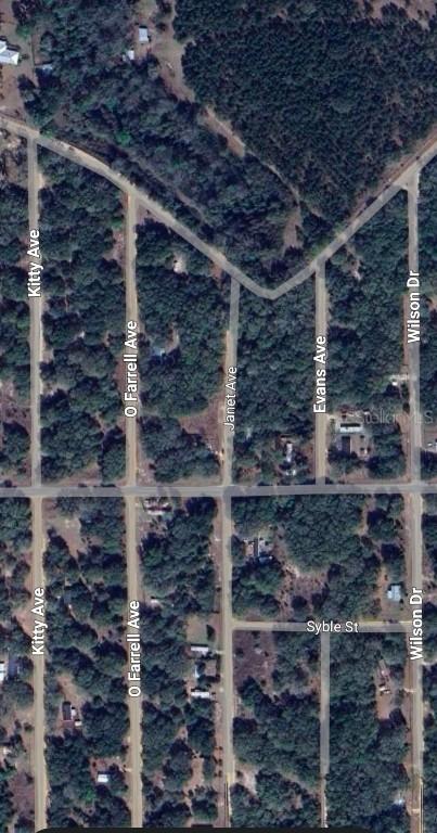 LOT 3 Janet Ave., Interlachen, FL 32148