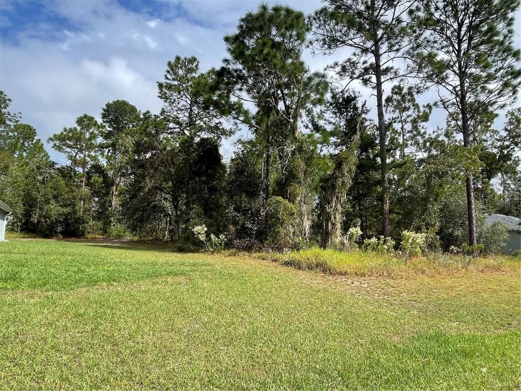 SW 131st Ln., Ocala, FL 34473