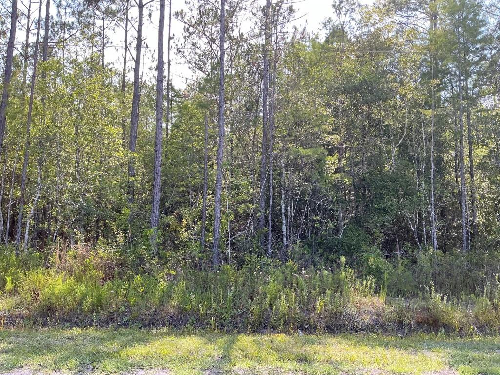 Crotty Ave. #1, Hastings, FL 32145