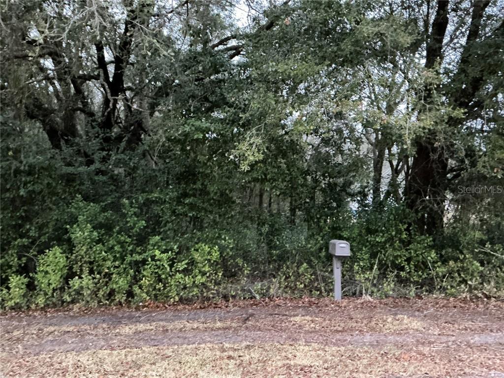 SE 143rd Pl., Summerfield, FL 34491