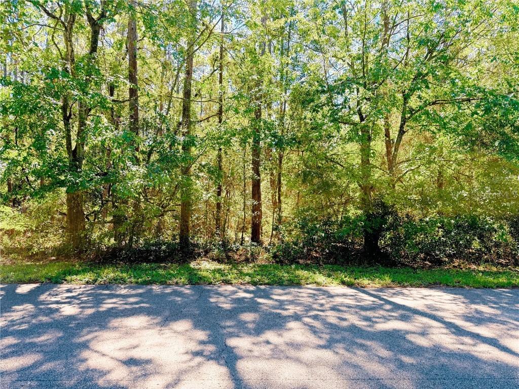 1188 W Pearson St., Hernando, FL 34442