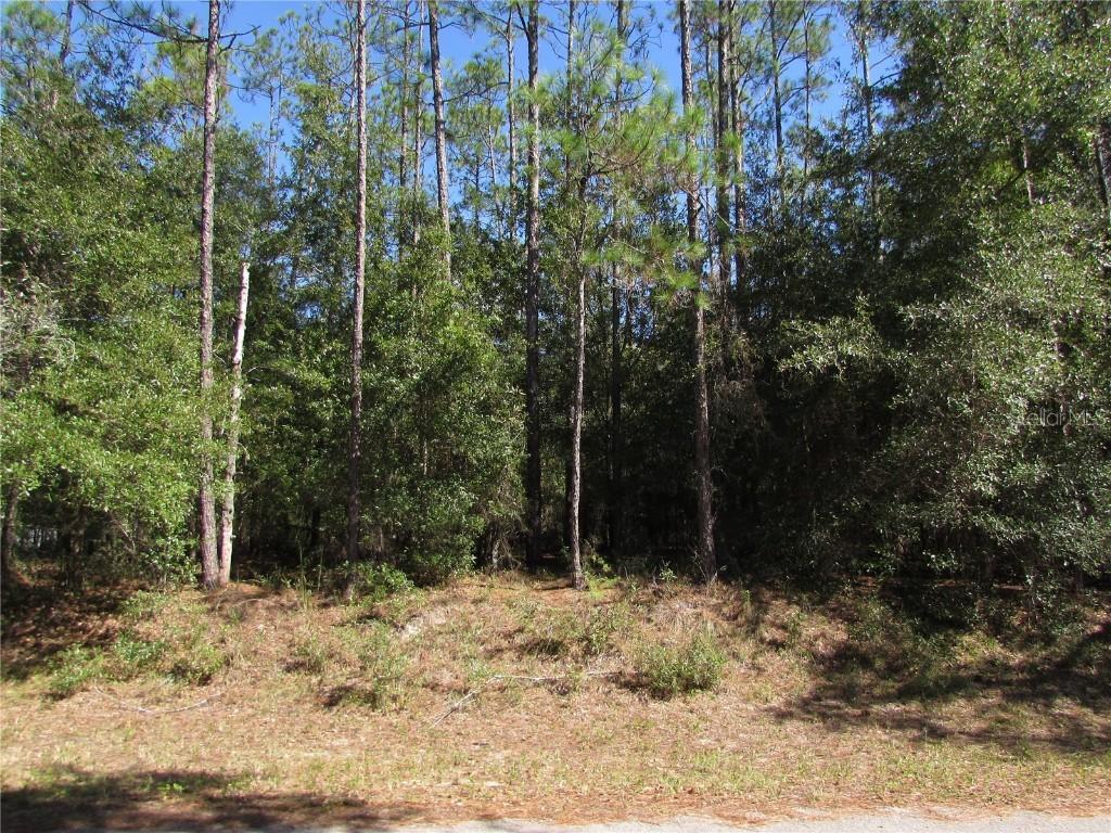 Lot 13 SW 87th Loop, Dunnellon, FL 34431
