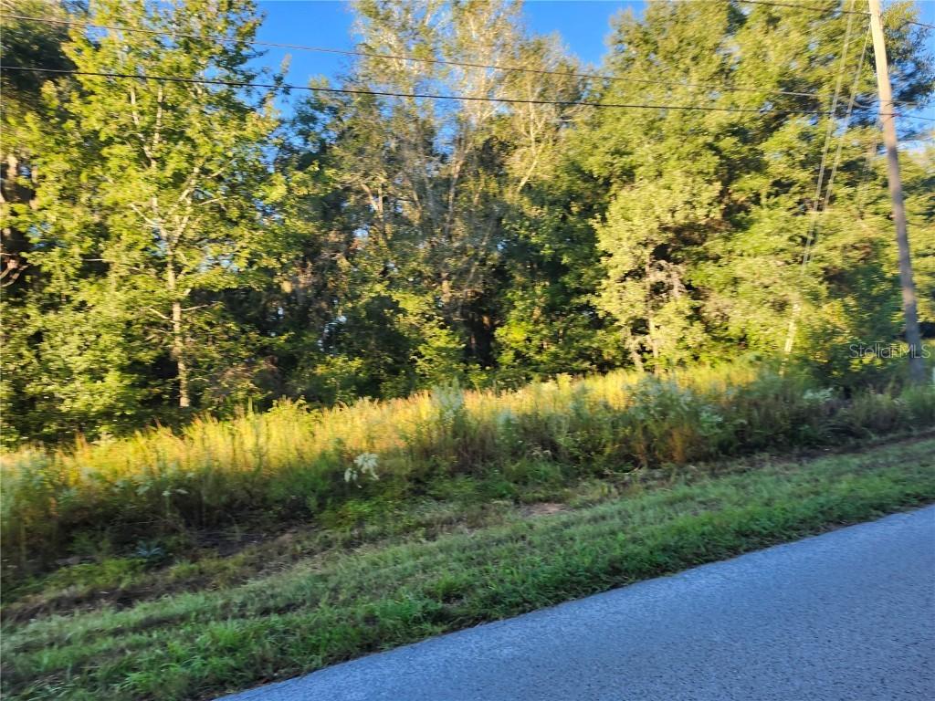 TBD Williow Road, Ocala, FL 34472