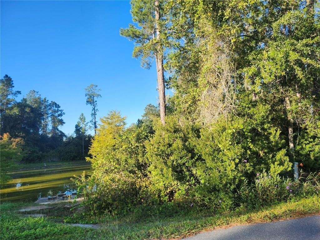 TBD Redwood Track Course, Ocala, FL 34472