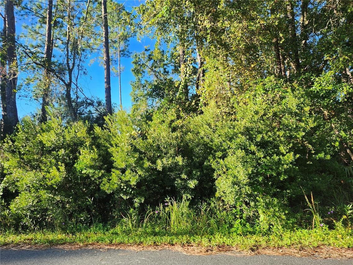 TBD Redwood Track Course, Ocala, FL 34472