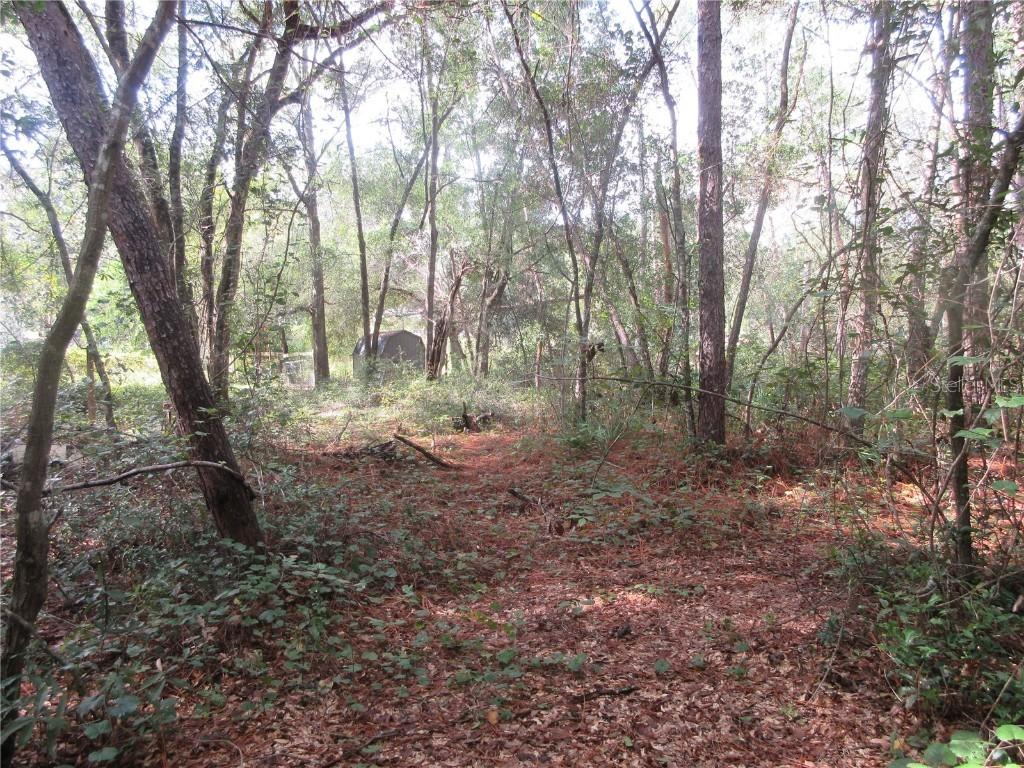 NE 171st Ct., Silver Springs, FL 34488