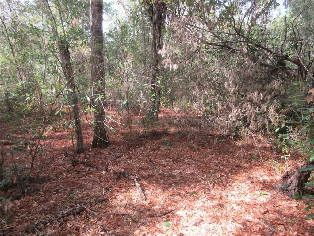 NE 171st Ct., Silver Springs, FL 34488