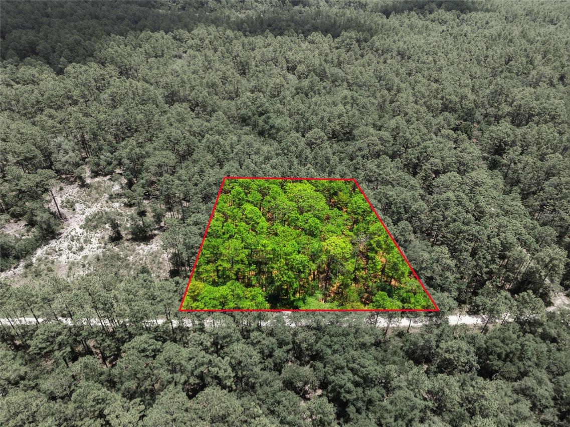 Lot 02 SW 175th Ter., Dunnellon, FL 34432