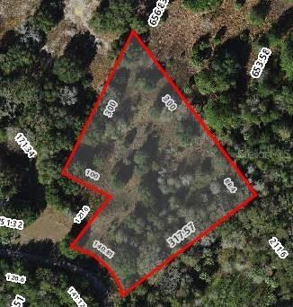 11403 N Lisette Path, Dunnellon, FL 34433