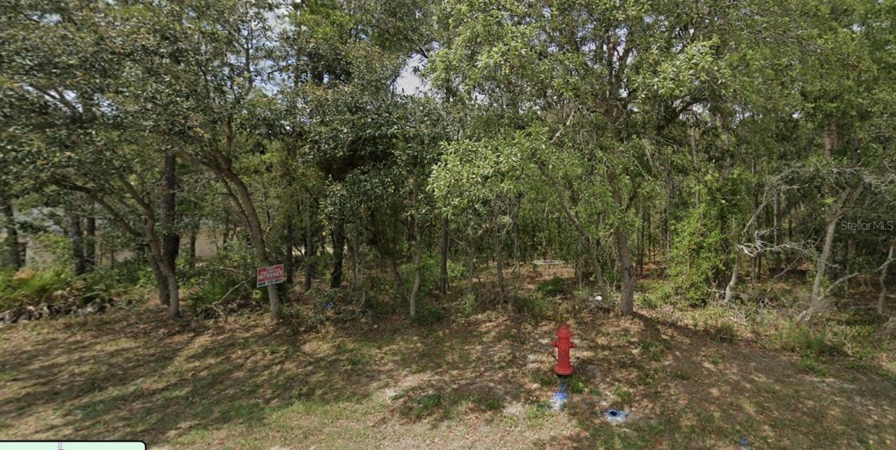 Lot 4 SW 144th Ln., Ocala, FL 34473