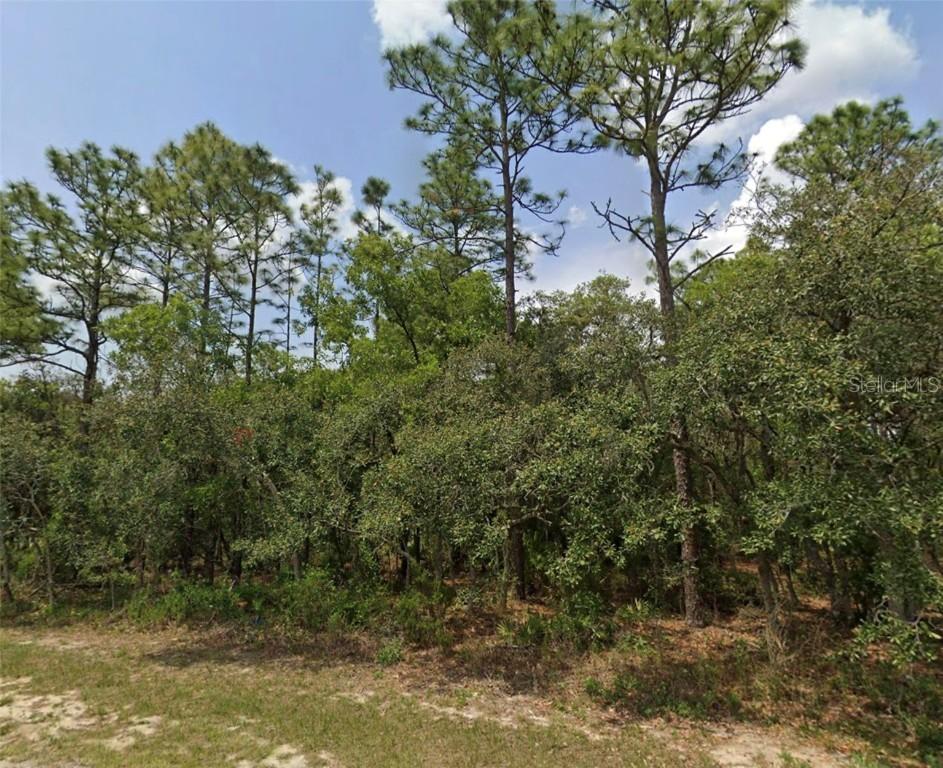 Lot 3 SW 144th Ln., Ocala, FL 34473