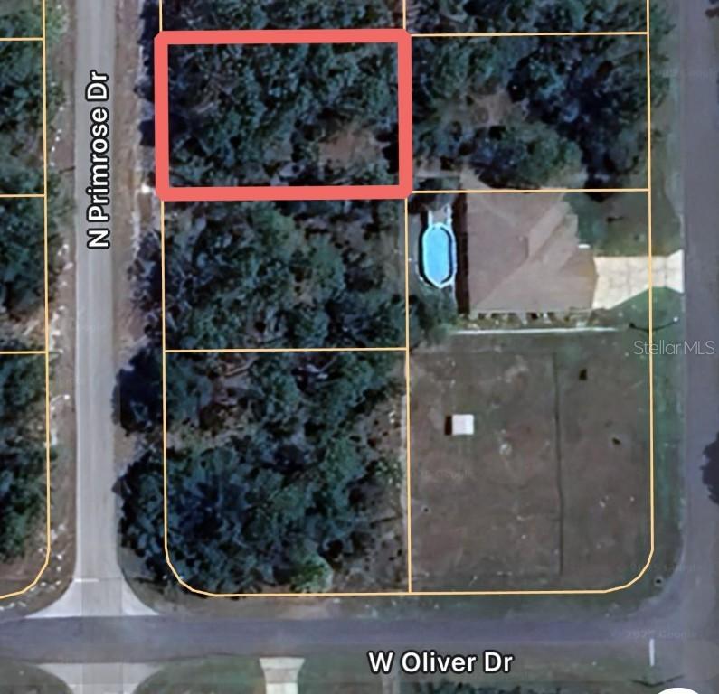 7711 N Primrose Dr., Citrus Springs, FL 34434
