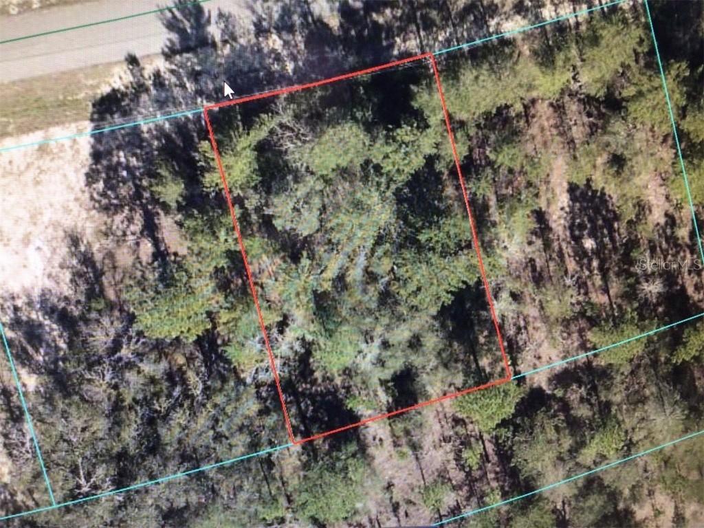 SW 153 Place Rd., Ocala, FL 34473