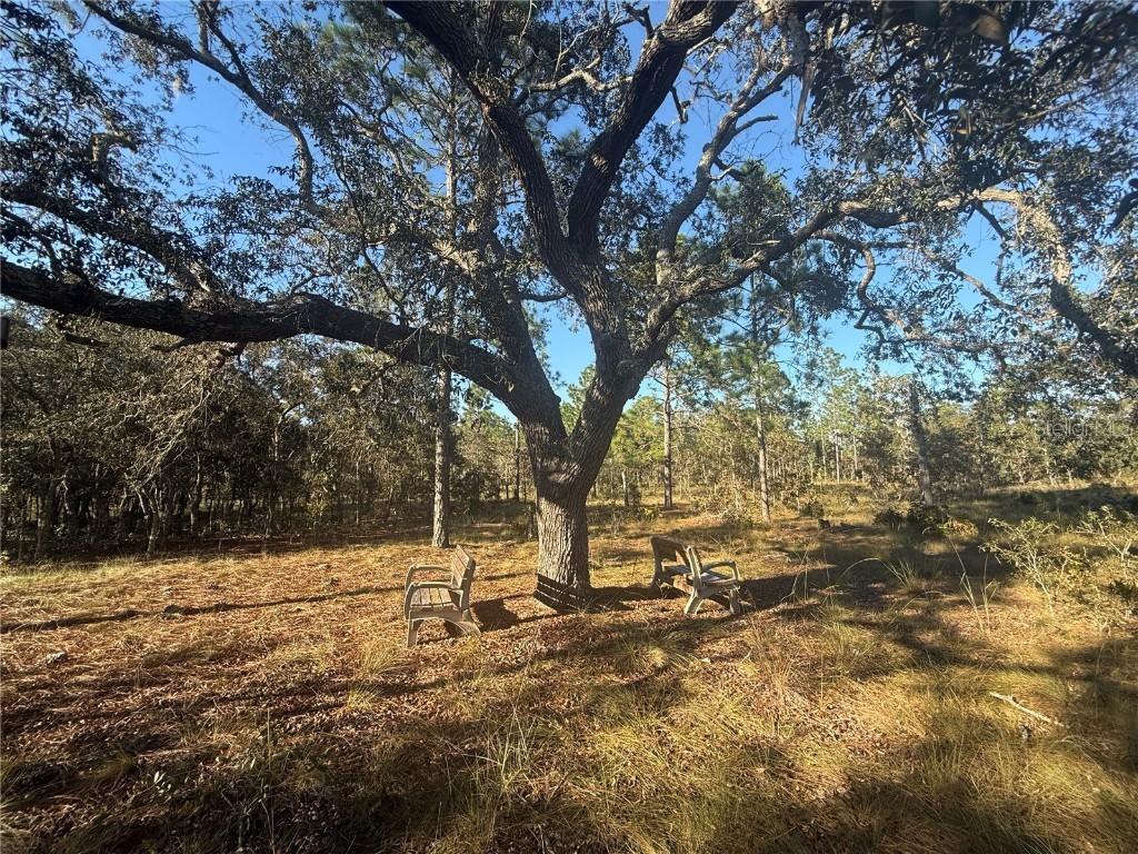 00 SE 73rd Ln., Morriston, FL 32668