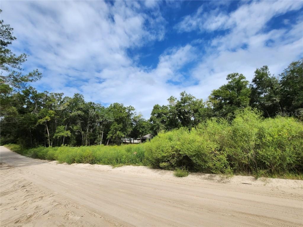 TBD SE 140th Pl., Summerfield, FL 34491