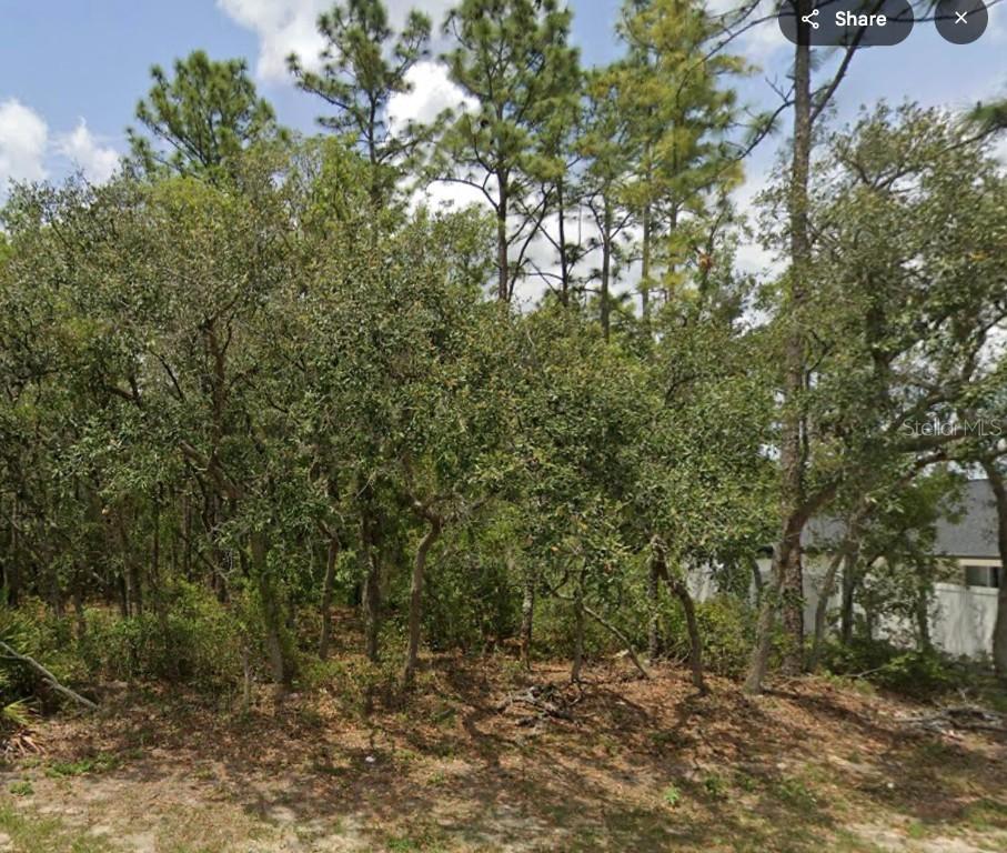 Lot 2 SW 144th Ln., Ocala, FL 34473