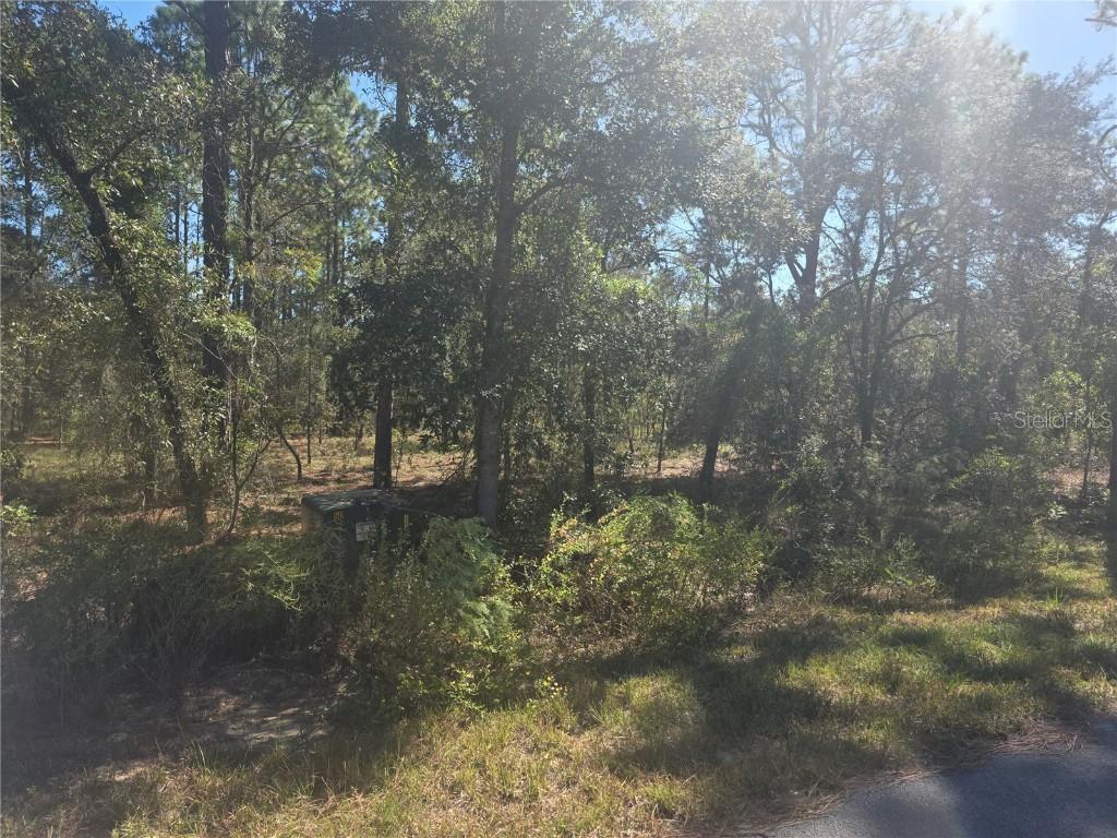Lot 30 NW Holly Rd., Dunnellon, FL 34431