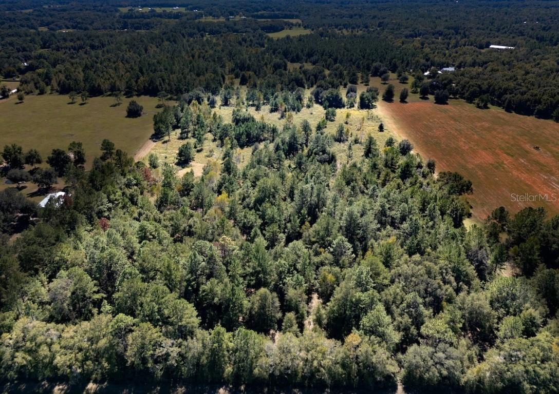000 NE 75 St., Williston, FL 32696