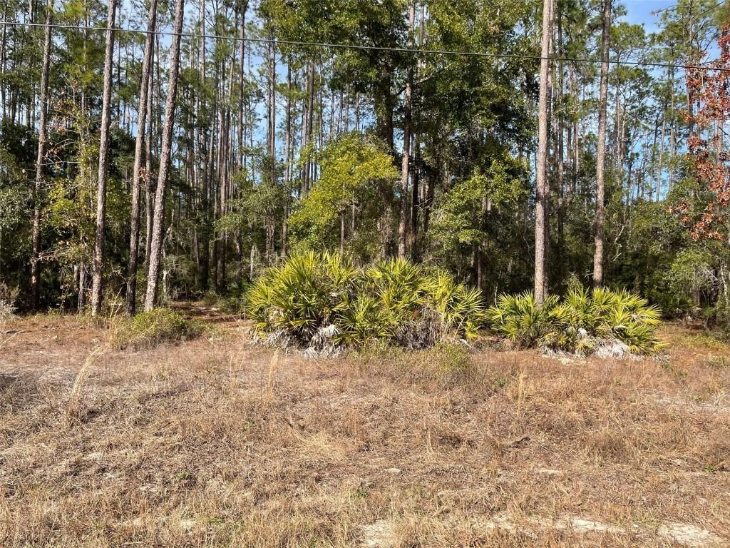 LOT 23 SW Tiger Lake Blvd., Dunnellon, FL 34431