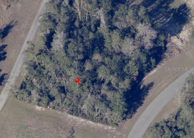 TBA SW 148th Place Rd., Ocala, FL 34473
