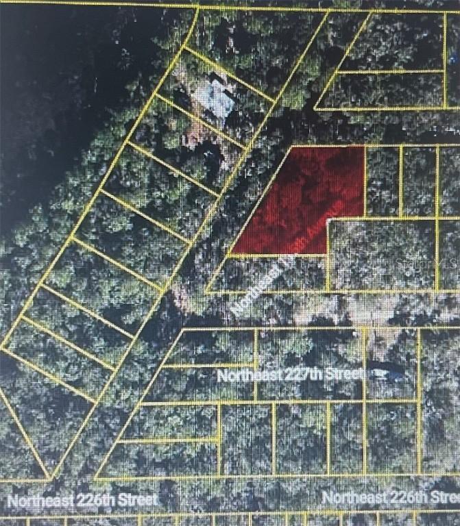 22733 NE 115th Ave., Fort Mc Coy, FL 32134