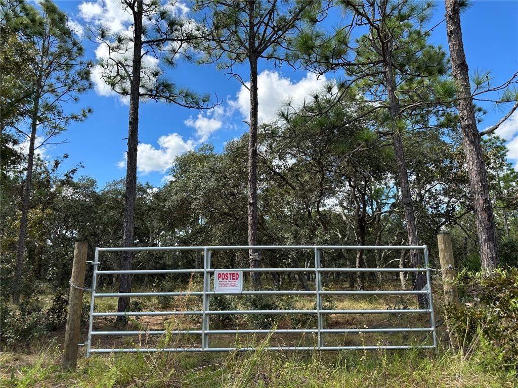 TBD SE 136th Ave., Dunnellon, FL 34431