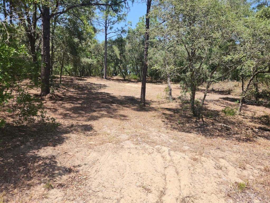 Lot 18 SW Pine Bluffs Rd., Dunnellon, FL 34432