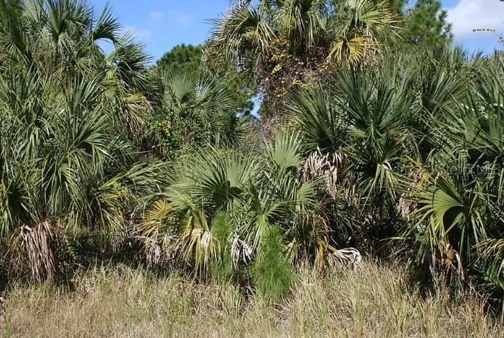 281 Farmington St., Palm Bay, FL 32908