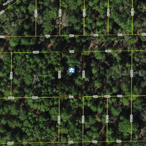 7334 W Contentment Ln., Dunnellon, FL 34433