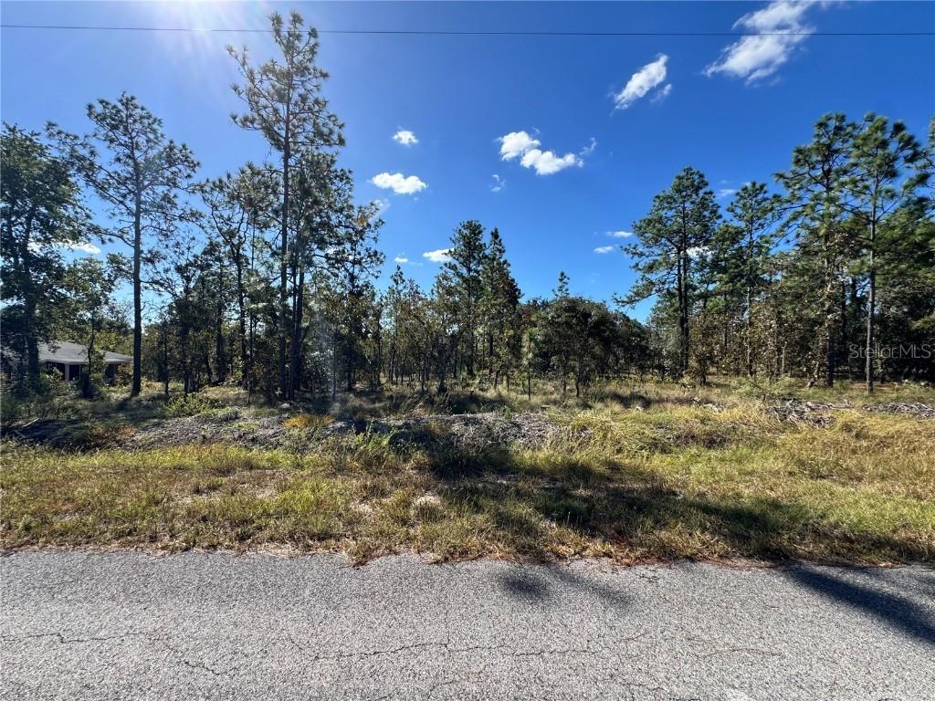 TBD NW Luna Ave., Dunnellon, FL 34431