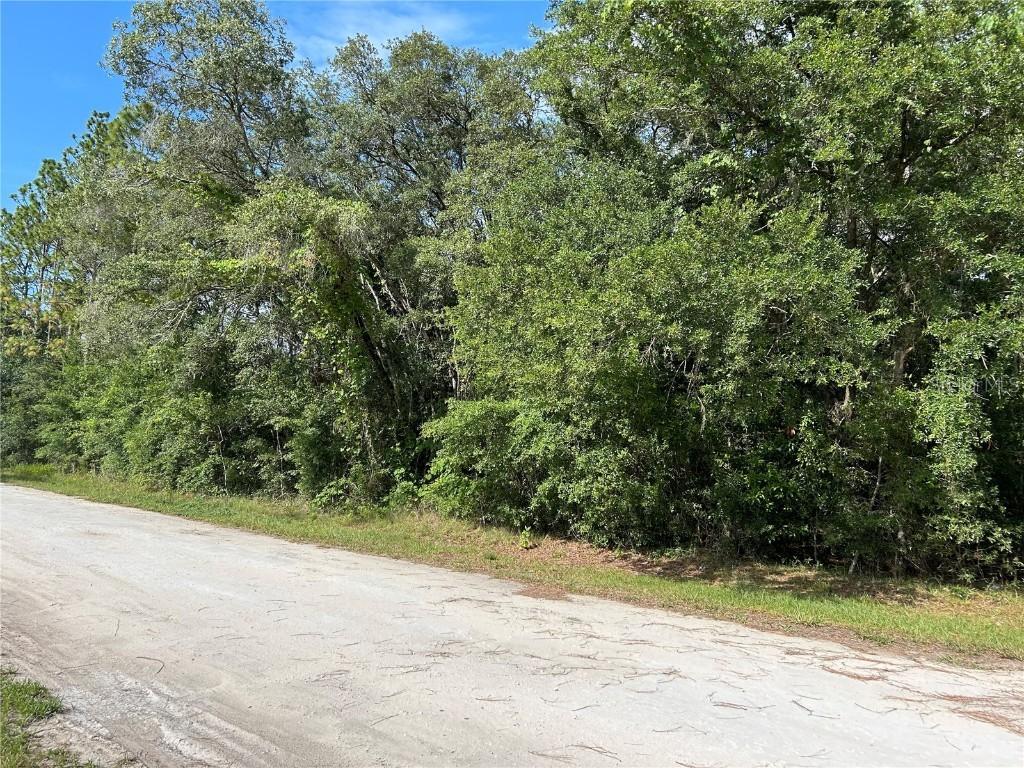 TBD SE 140 Ave., Morriston, FL 32668