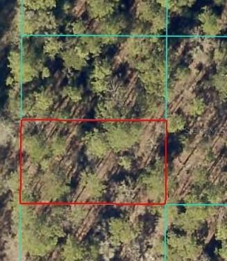 00 SW 156 Ave., Ocala, FL 34481