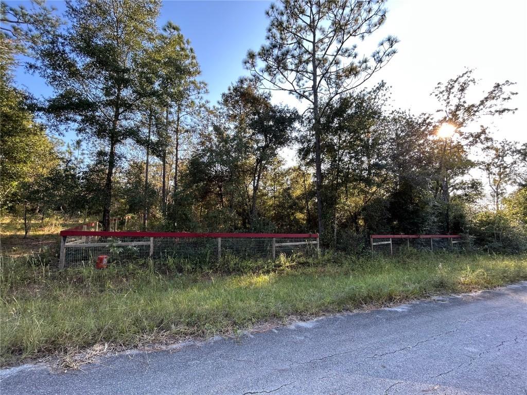 TBD NE 2nd Ln., Williston, FL 32696