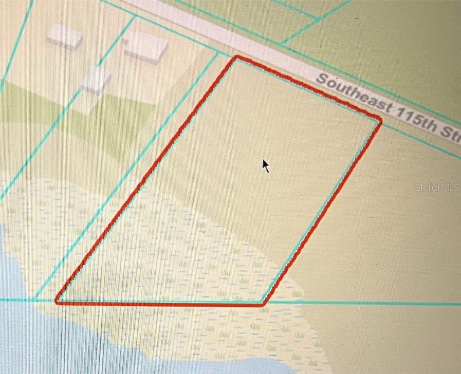 TBD SE 115th St., Ocklawaha, FL 32179