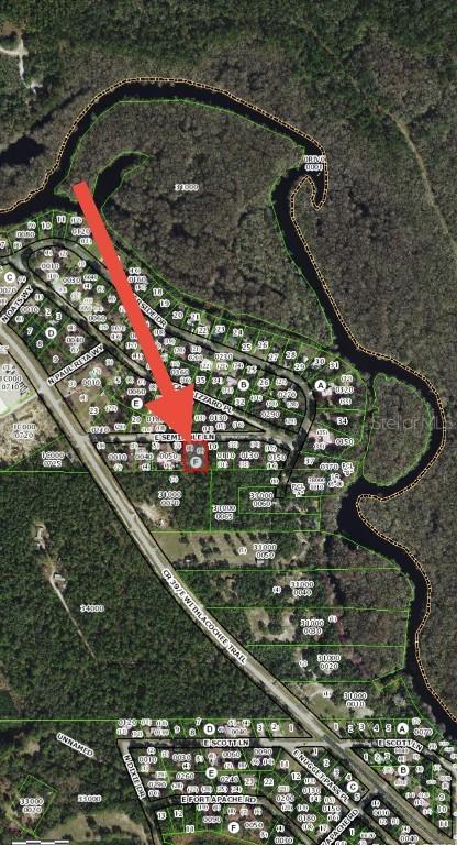 4096 E Seminole Ln., Dunnellon, FL 34434