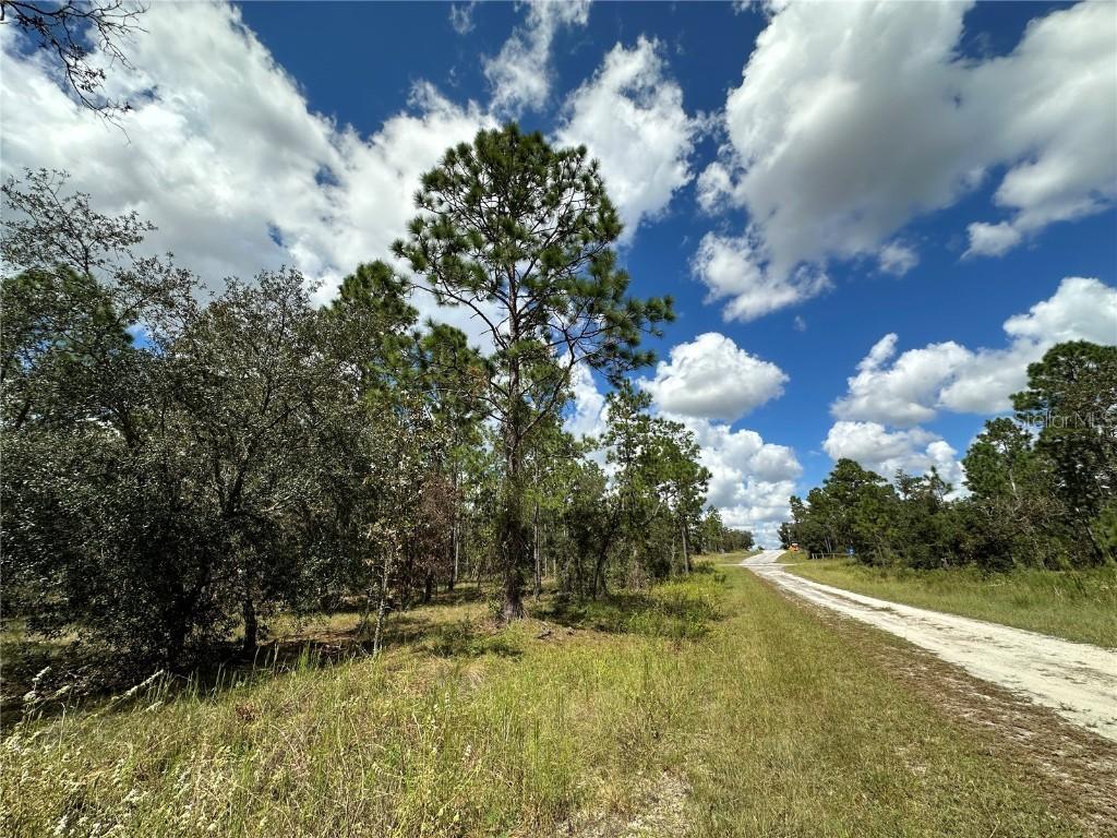TBD SE 134th Ct., Dunnellon, FL 34431
