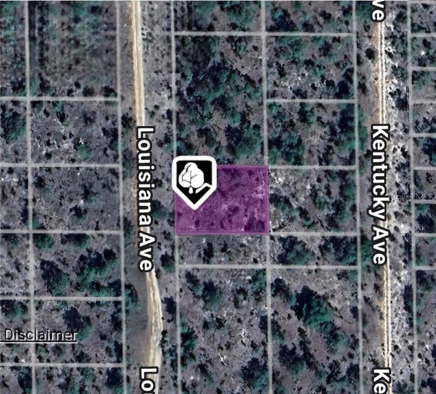 LOT 39 Louisiana Ave., Hawthorne, FL 32640