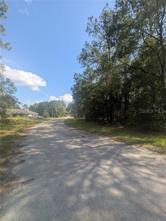 10484 N Holcomb Dr., Citrus Springs, FL 34434