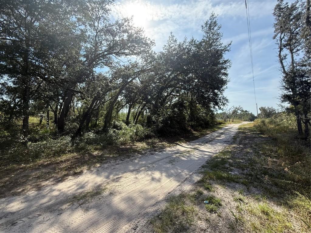SW 157th Ln., Dunnellon, FL 34432
