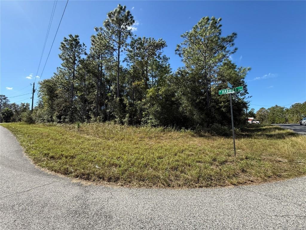 11073 N Haitian Dr., Citrus Springs, FL 34434