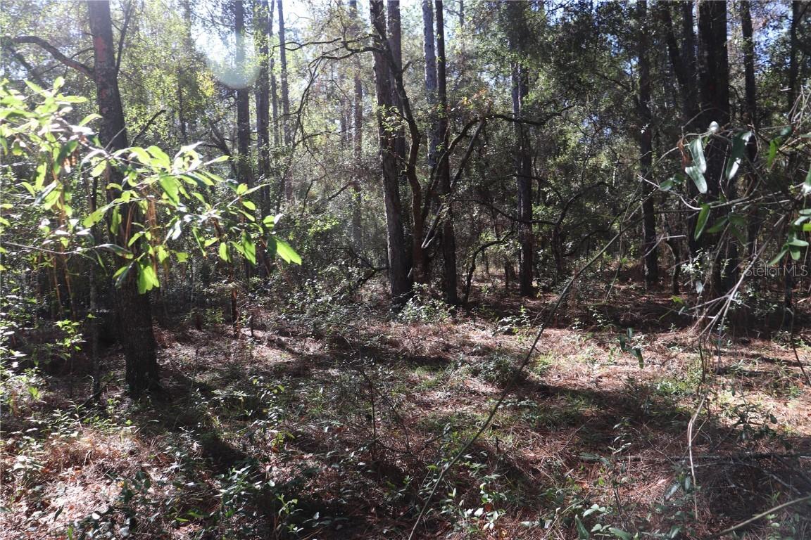 00 SW 39 St., Dunnellon, FL 34432