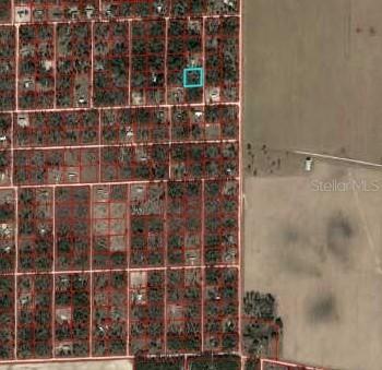 00 NE 129th Ave., Williston, FL 32696