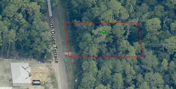 8325 N Ocoee Ter., Crystal River, FL 34428