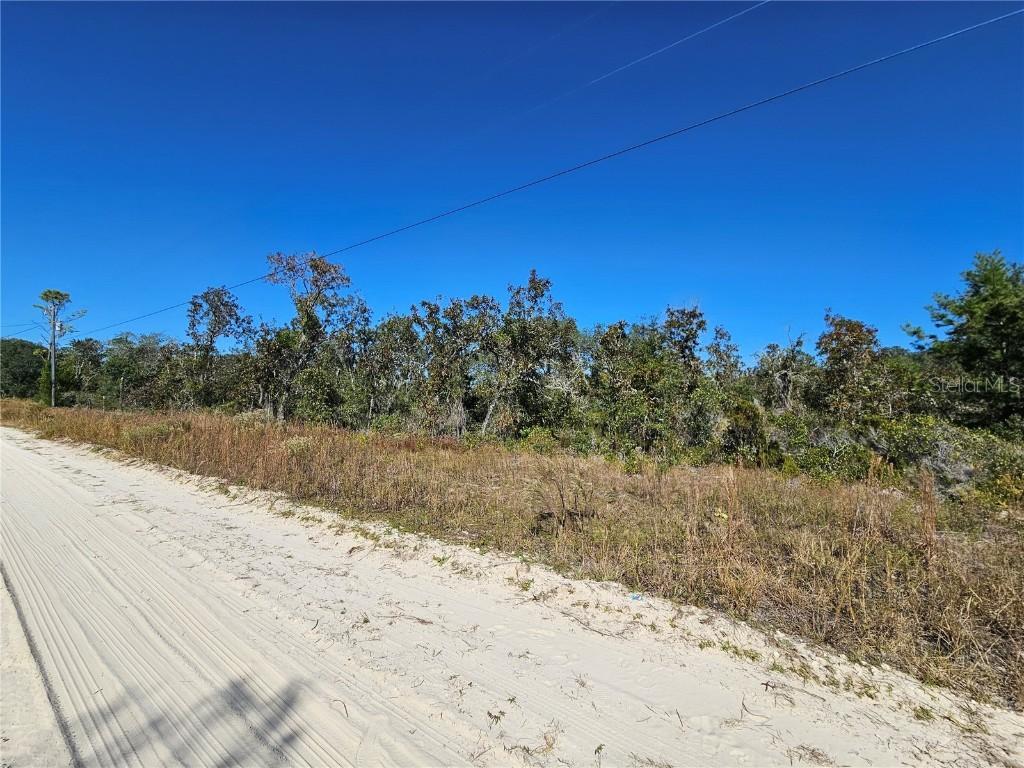 TBD NE 66th Ln., Williston, FL 32696