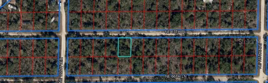 Ne 67th Place #5, Williston, FL 32696