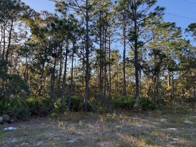 2862 N Stampede Dr., Beverly Hills, FL 34465