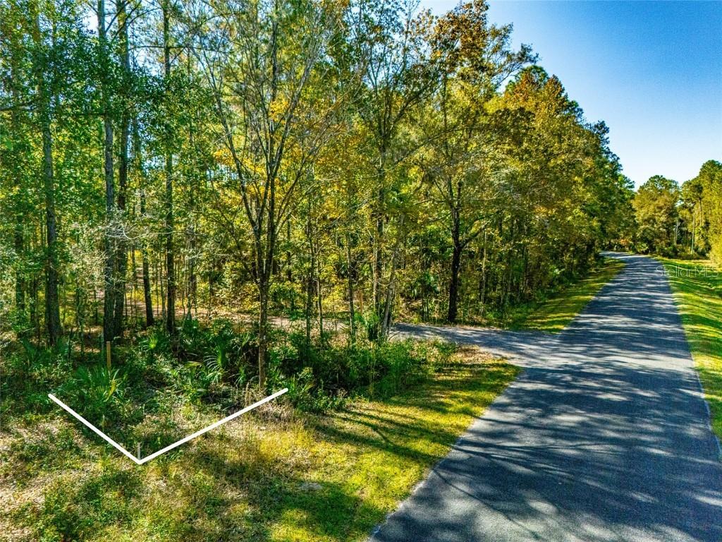 000 NE 92nd Ave Rd, Fort Mc Coy, FL 32134