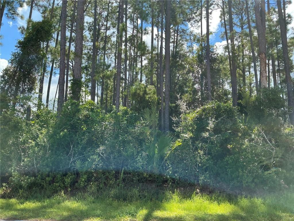 53 Fenwick Ln., Palm Coast, FL 32137