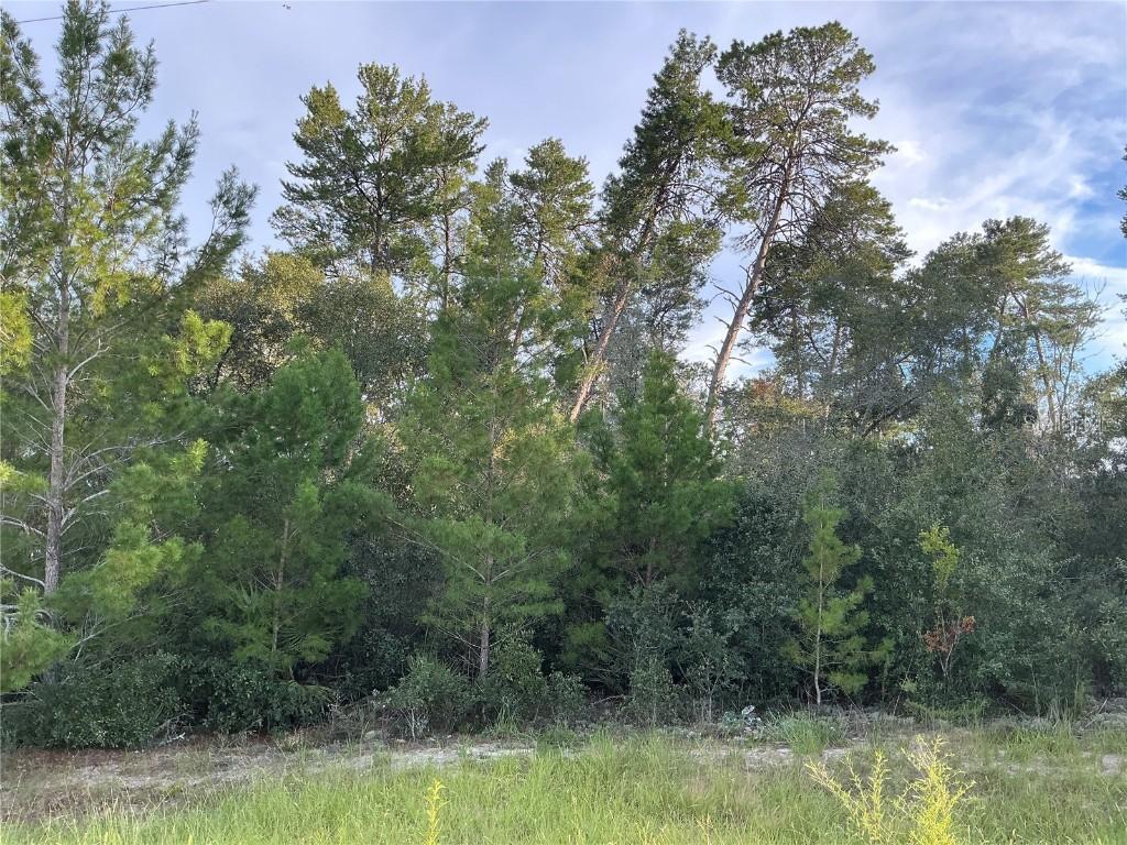 SW 112th St., Ocala, FL 34476