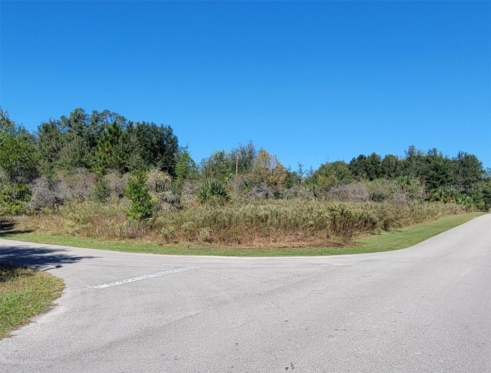 SW 82nd Pl., Dunnellon, FL 34431